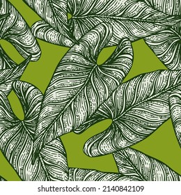 Tropical araceae leaf seamless pattern. Jungle leaves background. Repeated hand drawn design texture for printing, fabric, wrapping paper, fashion, interior, wallpaper, tissue. Vector illustration.