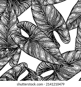 Tropical araceae leaf seamless pattern. Jungle leaves background. Repeated hand drawn design texture for printing, fabric, wrapping paper, fashion, interior, wallpaper, tissue. Vector illustration.
