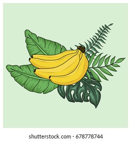 Tropical arrangement with banana  and flower. Vector illustration