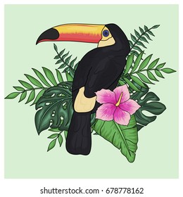 Tropical arrangement with toucan and flower. Vector illustration