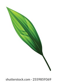 Tropical Aspidistra leaf vector cartoon illustration