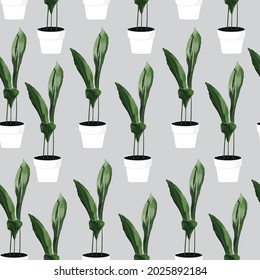 Tropical Aspidistra plant in pots seamles pattern for inside and outside. Grey background.