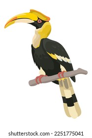 Tropical avian animal portrait, isolated exotic animal with curved beak sitting on twig or branch in forest. Fauna and wilderness of warm countries, zoo and ornithology. Vector in flat style