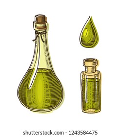 Tropical avocado. Evergreen fruit plant. Organic oil in the bottle. leaves and branches, leaf and half seeds. Isolated Vector hand drawn. Vintage template for design. Engraved monochrome sketch.