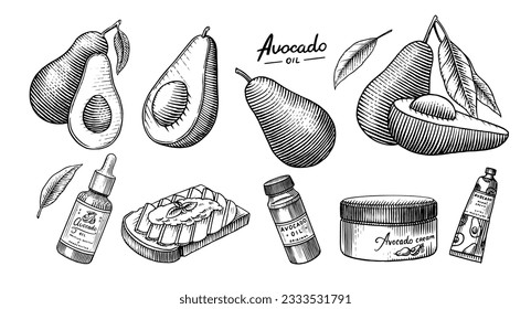 Vocado tropical. Conjunto de plantas de frutas verdes. Cosméticos para el cuidado de la piel. Aceite orgánico en la botella. Vector aislado dibujado a mano. Plantilla de época para el diseño. Esbozo monocromo grabado