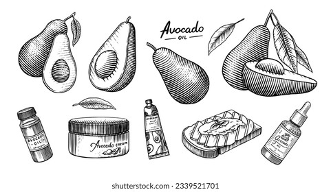 Tropical avocado. Set of evergreen fruit plant. Cosmetics for skin care. Organic oil in the bottle. Isolated Vector hand drawn. Vintage template for design. Engraved monochrome sketch