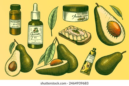 Aguacate tropical. Conjunto de planta de fruta verde. Cosméticos para el cuidado de la piel. Aceite orgánico en la botella. Vector aislado dibujado a mano. Plantilla de Antiguas para el diseño. Esbozo monocromo grabado