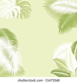 Tropical Background
