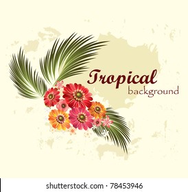 Tropical background