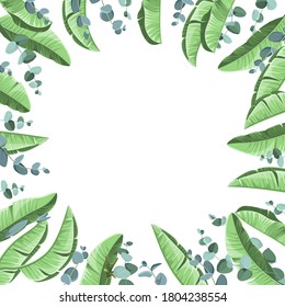 Tropical background with banana leaves and eucalyptus.