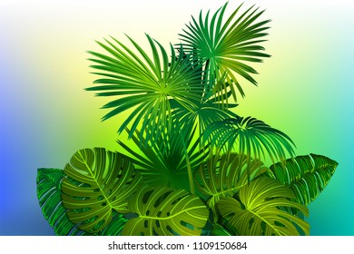 Tropical background with banana leaves, palm trees and exotic plants. Botanical vector illustration.