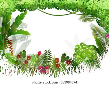 Tropical background beautiful .vector