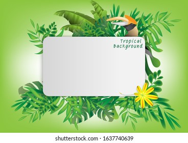 Tropical background with eps.10 vector