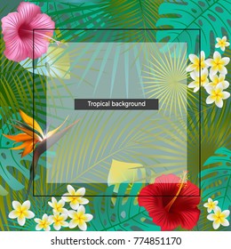 Tropical background. Exotic flowers and leaves. Vector illustration.