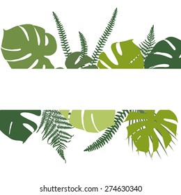Tropical background with fern and monstera leaves