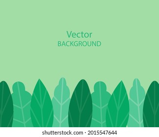 Tropical background. Floral design with different big green leaves. Vector illustration with copy space for presentation, poster, banner. Template for wallpaper, brochure, flyer, postcard