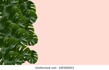 Tropical background. Flower and palm wallpaper. Vector jungle illustration. Exotic tropical jungle rainforest bright green monstera leaves border frame template on pink background.