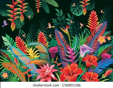 Tropical background from tropical flowers, leaves and hummingbird