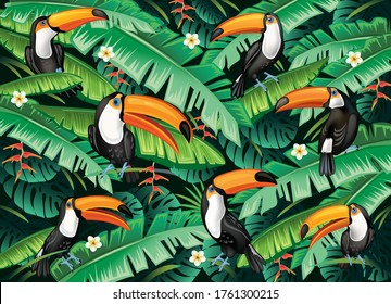 Tropical background from tropical flowers, leaves and toucans