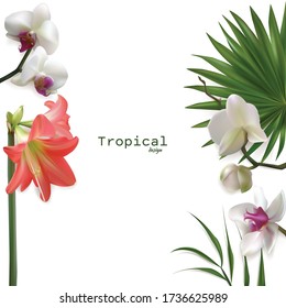 Tropical background. Flowers. Orchids Palm leaves. Flower pattern. Exotic plants. Lilies. Pink.