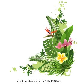 tropical background with flowers and plants