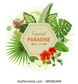 tropical background with flowers and plants