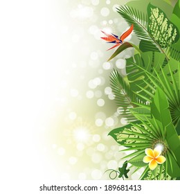 Tropical background with flowers and plants 