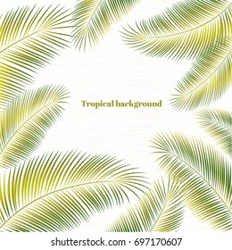Tropical background. Green Palm Leaves. Vector illustration with plant elements on white background.