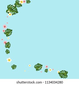 Tropical background with hibiscus flowers and tropical leaves.