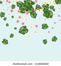 Tropical background with hibiscus flowers and tropical leaves.