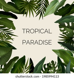 Tropical background with jungle plants. Exotic pattern with palm leaves. Vector illustration