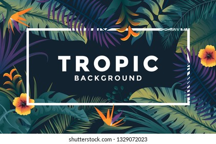 Tropical background with jungle plants. Frame with tropic leaves, can be used as Exotic wallpaper, Greeting card, poster, placard. Vector Illustration