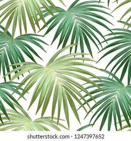 Tropical background with jungle plants. Seamless vector tropical pattern with green palm leaves.