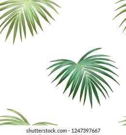 Tropical background with jungle plants. Seamless vector tropical pattern with green palm leaves.