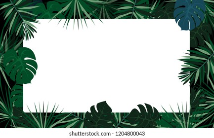 Tropical background with jungle plants. Vector illustration