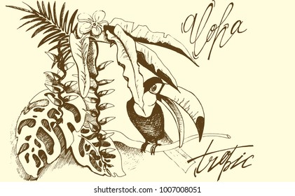 Tropical background with leaves and a toucan. Aloha tropics vector illustration