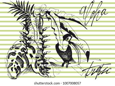 Tropical background with leaves and a toucan. Aloha tropics vector illustration