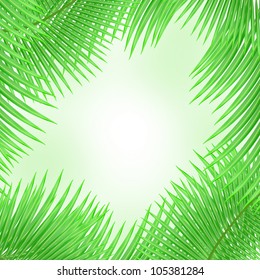 Tropical background with palm leafs and space for your text, vector illustration