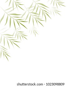 Tropical background. Palm leaves. Border.
