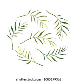 Tropical background. Palm leaves. Color illustration. Bright. Exotics. Green. Vector.