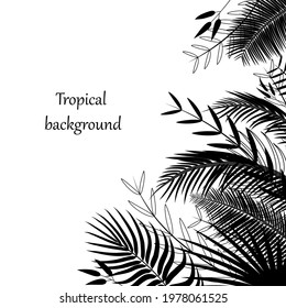 Tropical background with palm leaves. Corner, border of silhouettes of exotic tropical branches and foliage. Jungle, hawaii pattern in black. Poster template with place for text. Vector illustration