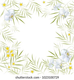 Tropical background. Palm leaves. Exotic flowers. Orchid. Plumeria. White. Border.
