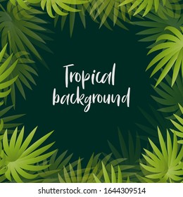 Tropical background, palm leaves frame border vector summer copy space