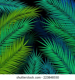 Tropical background with palm leaves. Vector illustration.