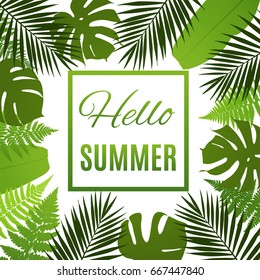 Tropical background with palms and ferns. Vector illustration.