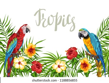 Tropical background with parrots. Palm leaves, hibiscus flowers and exotic birds.