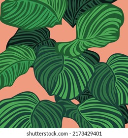 Tropical background pattern vector design