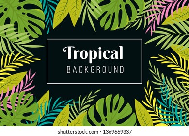 Tropical background. Rainforest palm tree leaves frame. Jungle forest planting vector exotic wallpaper