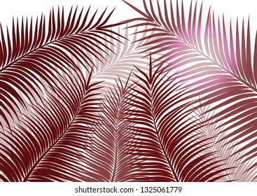 Tropical background. Realistic palm tree leaves. Exotic beauty for travel Design, promotion and marketing. Vector illustration - Vector graphics