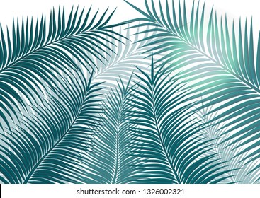 Tropical background. Realistic palm tree leaves. Exotic beauty for travel Design, promotion and marketing. Vector illustration - Vector graphics